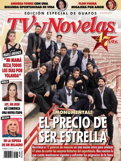 Cover image for TV y Novelas México